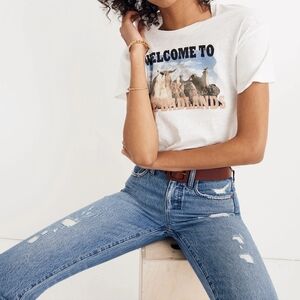Madewell graphic boho tee shirt